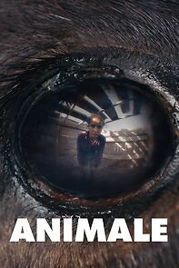 Watch Animale