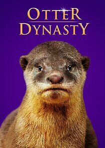 Watch Otter Dynasty