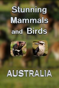 Watch Stunning Mammals and Birds: Australia