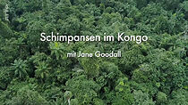 Watch Schimpansen im Kongo mit Jane Goodall