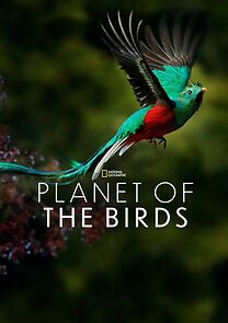 Watch Planet of the Birds (Short 2018)