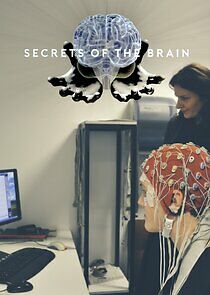 Watch Secrets of the Brain