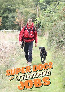 Watch Super Dogs with Extraordinary Jobs