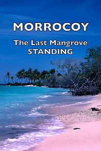 Watch Morrocoy: The Last Mangrove Standing (Short 2000)