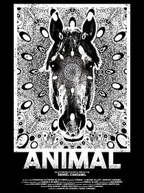 Watch Animal (Short 2022)