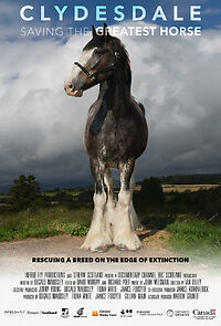 Watch Clydesdale: Saving the Greatest Horse