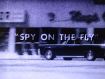 Watch Spy on the Fly (Short 1967)