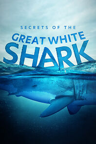 Watch Secrets of the Great White Shark