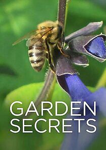 Watch Garden Secrets