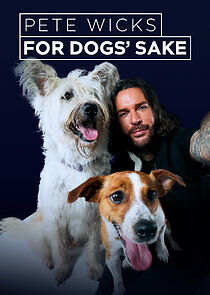 Watch Pete Wicks: For Dogs' Sake