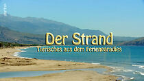 Watch Der Strand: Tierisches aus dem Ferienparadies