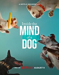 Watch Inside the Mind of a Dog