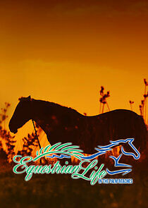 Watch Equestrian Life in the Palm Beaches