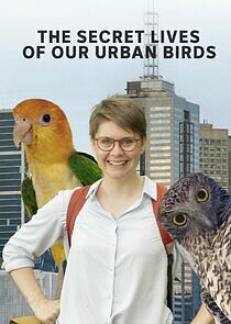 Watch The Secret Lives of Our Urban Birds