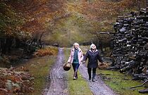 Watch Quand vient l'automne