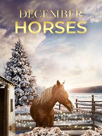 Watch December Horses