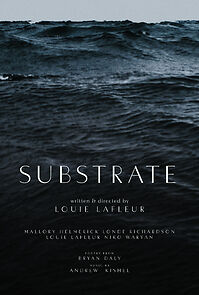 Watch Substrate (Short)