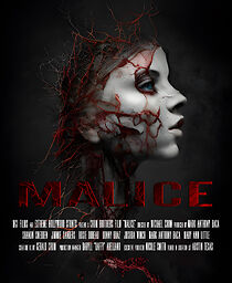 Watch Malice 2.0