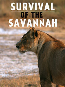 Watch Survival on the Savannah