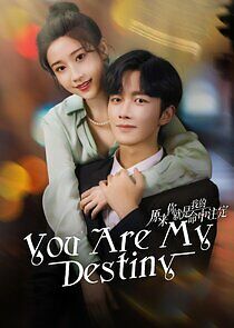 Watch You Are My Destiny