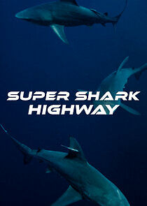 Watch Super Shark Highway