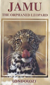 Watch JAMU the Orphaned Leopard