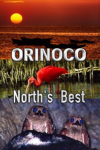 Watch Orinoco, North's Best (Short 2005)