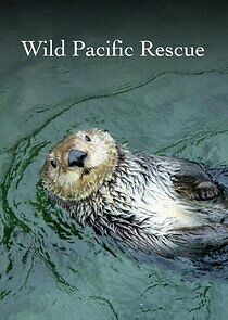 Watch Wild Pacific Rescue