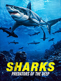 Watch Sharks: Predators of the Deep