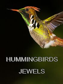 Watch Hummingbirds Jewels (Short 2018)