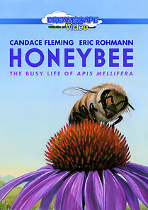 Watch Honeybee (Short 2022)