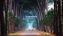 Watch Harmonia