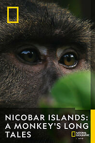 Watch Nicobar Islands: A Monkey's Long Tale