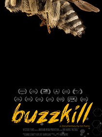 Watch Buzzkill