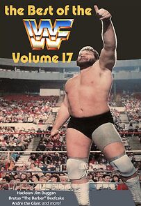 Watch Best of the WWF Volume 17