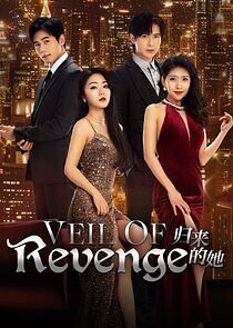 Watch Veil of Revenge