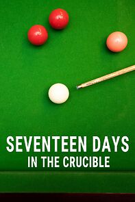 Watch Seventeen Days in the Crucible