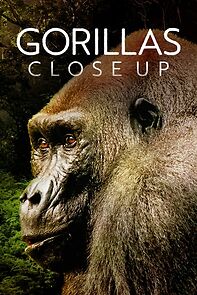 Watch Gorillas Close Up (Short 2022)