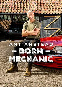 Watch Ant Anstead: Born Mechanic