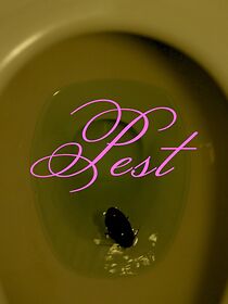 Watch Pest (Short 2024)