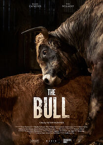 Watch The Bull (Short 2024)