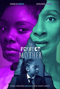 Watch The Perfect Mother