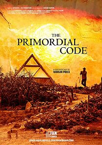 Watch The Primordial Code