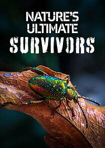 Watch Nature's Ultimate Survivors