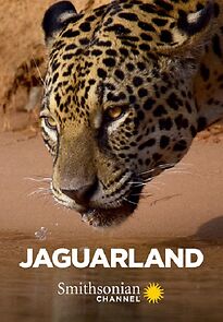 Watch Jaguarland