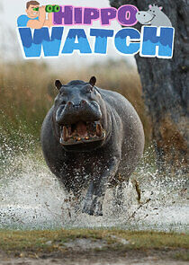 Watch Milkshake! Hippo Watch