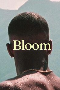 Watch Bloom