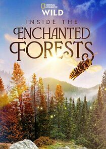 Watch Inside the Enchanted Forests