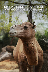 Watch My Epic Camel Adventure with Gordon Buchanan