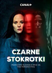 Watch Czarne stokrotki